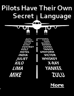 Pilots have their own secret language. here's what they're really saying. Do you know who ''George'' is? He's up there with the regular pilots, and is flying the plane.
